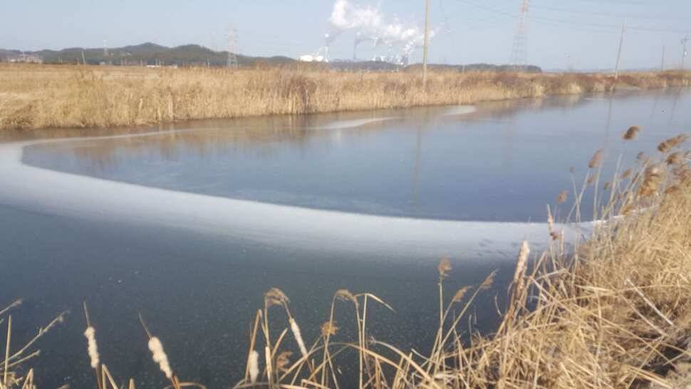 서산태안 얼음낚시 조황정보 (조황조행기 - 낚시점조황)