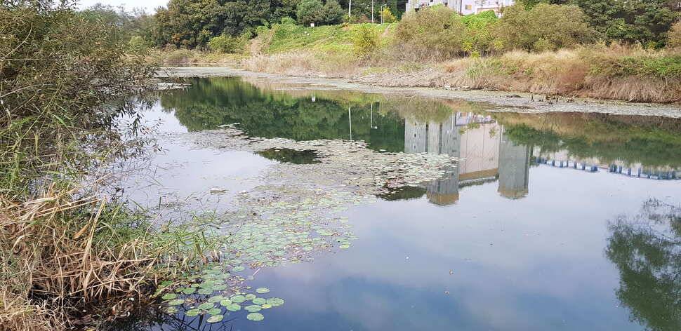 구미 붕어조황추수편 (조황조행기 - 낚시점조황)