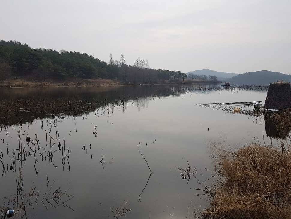 창녕권 조황 살아 나고 있습니다 (조황조행기 - 낚시점조황)
