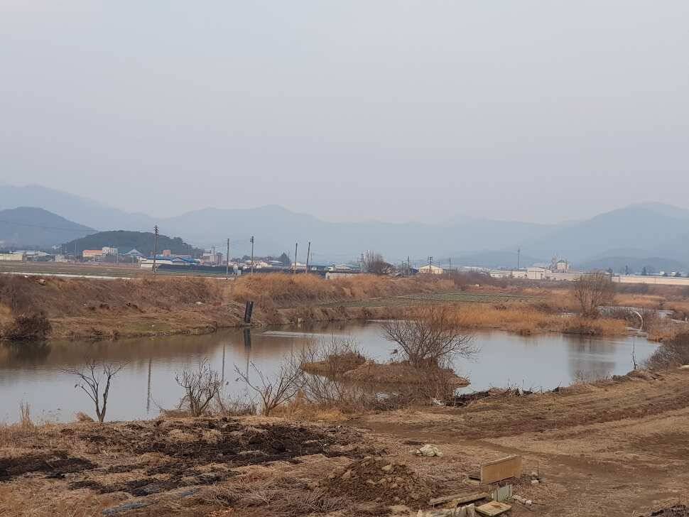 창녕권 조황 살아 나고 있습니다 (조황조행기 - 낚시점조황)