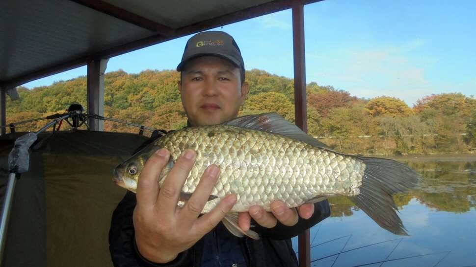 이박사낚시 조황정보 (조황조행기 - 낚시점조황)
