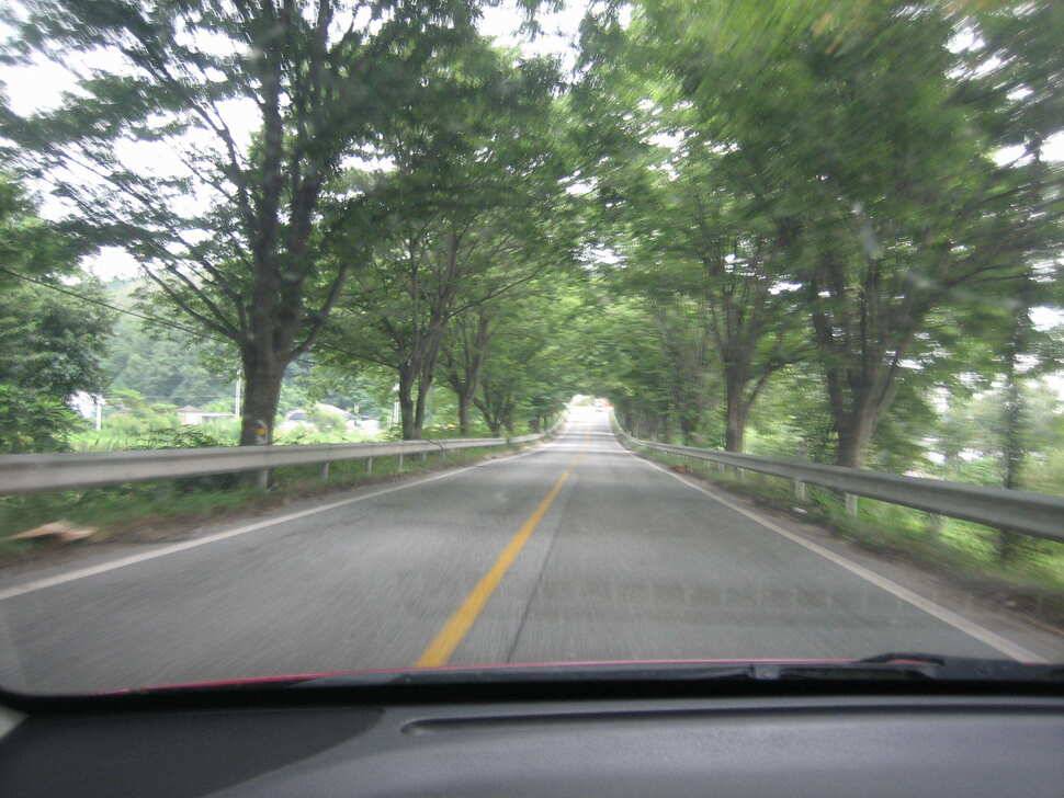 충주 탄금호 낚시조황 (조황조행기 - 낚시점조황)