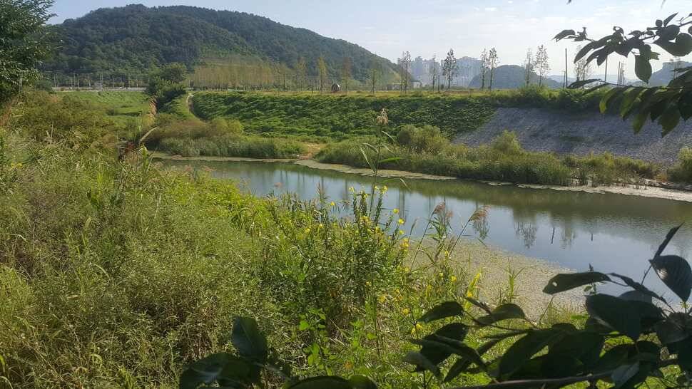 경북구미산호낚시조황소식 (조황조행기 - 낚시점조황)