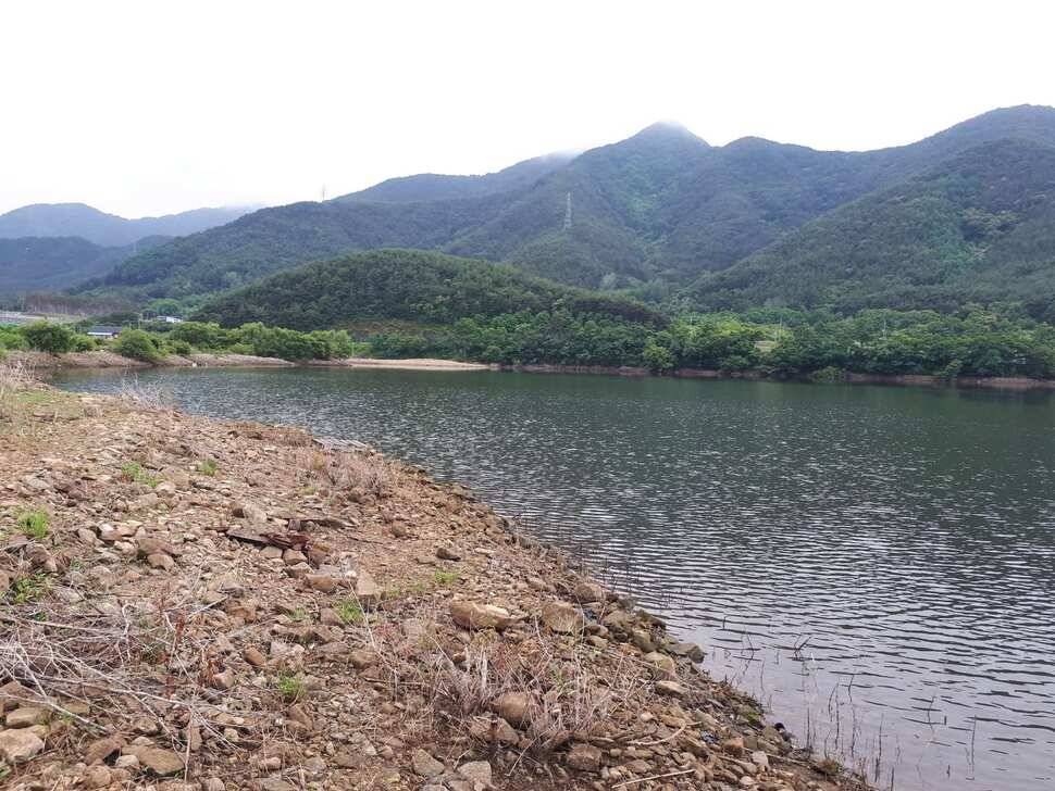 창녕권 저수지정보 (조황조행기 - 낚시점조황)