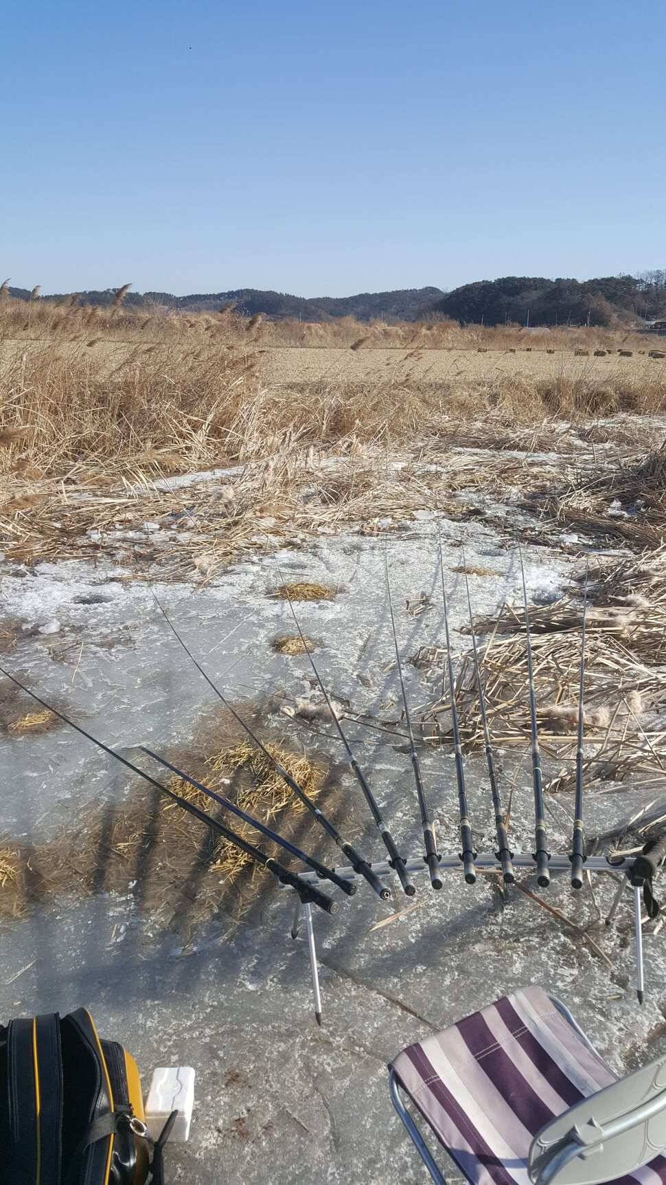 서산 얼음낚시 조황정보 (조황조행기 - 낚시점조황)