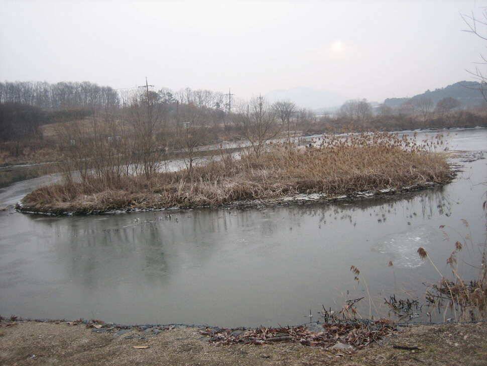 충주탄금호낚시조황 (조황조행기 - 낚시점조황)