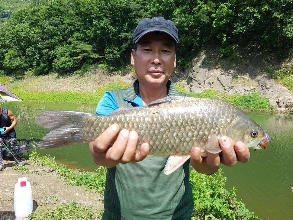 단양호 조황입니다 (조황조행기 - 낚시점조황)