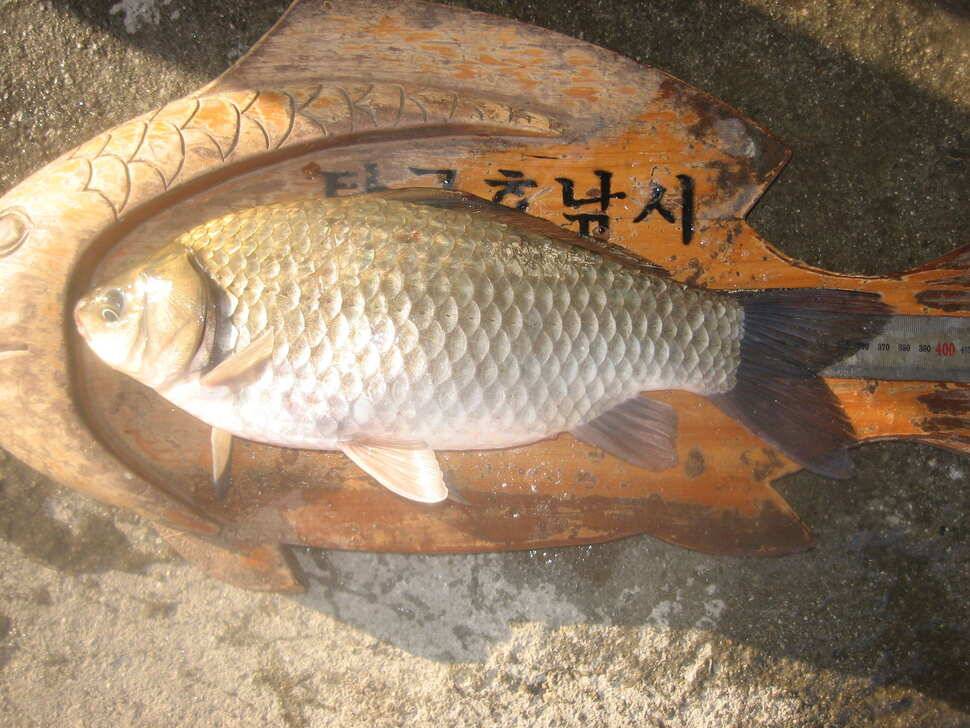 jum_johwang_e224c_125500_89834.jpg