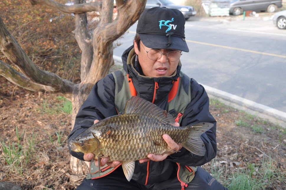 창녕권 485484742 호조황 (조황조행기 - 낚시점조황)