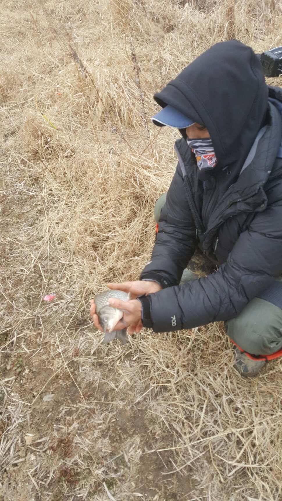 서산저수지 수로권 월척조황 (조황조행기 - 낚시점조황)