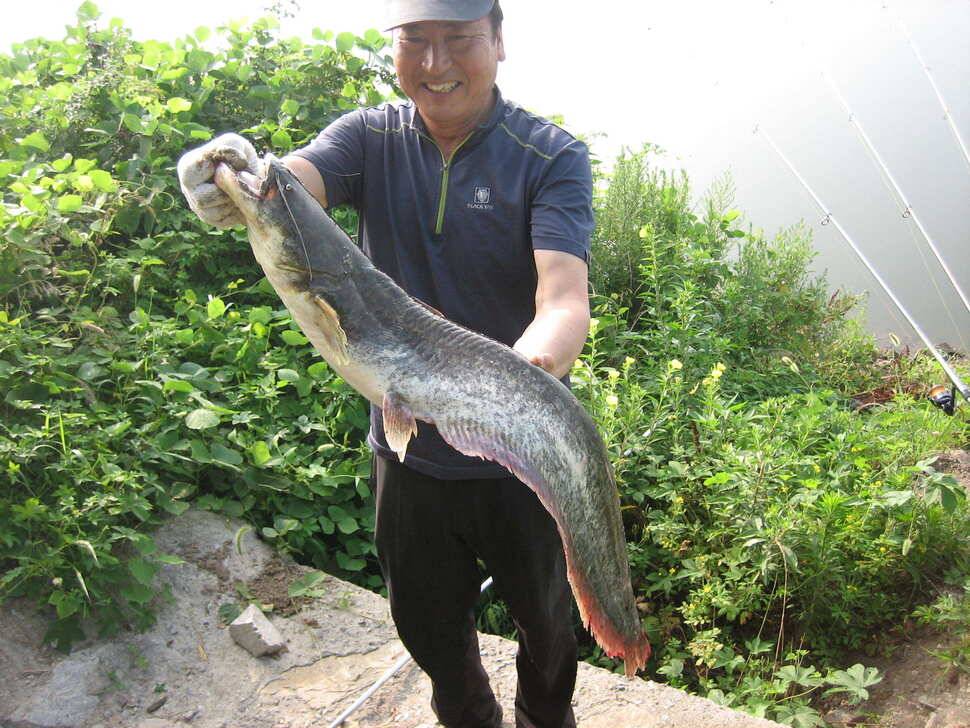 충주 탄금호 낚시조황 (조황조행기 - 낚시점조황)