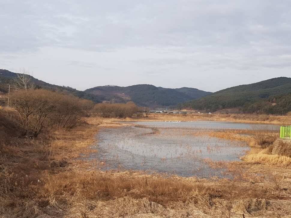 창녕 시즌 시작 (조황조행기 - 낚시점조황)