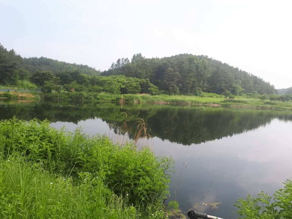 창녕권 저수지 탐사 (조황조행기 - 낚시점조황)