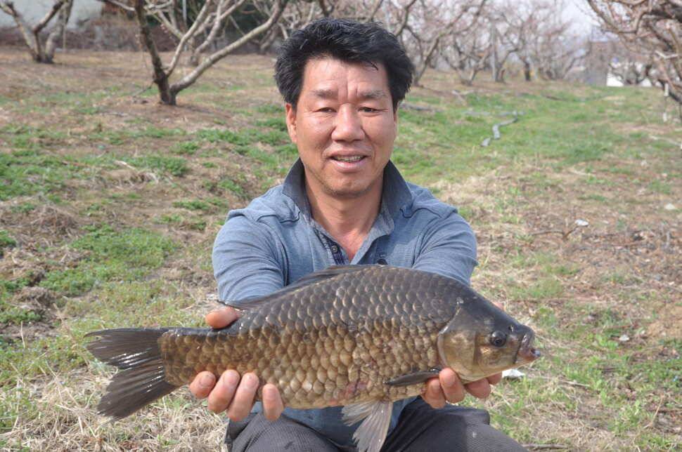 창녕권 485484742 호조황 (조황조행기 - 낚시점조황)