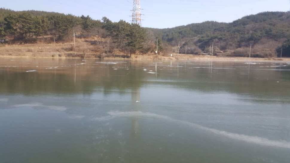서산태안 얼음낚시 조황정보 (조황조행기 - 낚시점조황)
