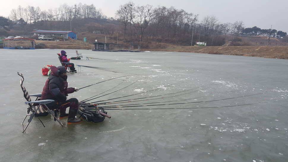 음성 내곡지 (조황조행기 - 낚시점조황)