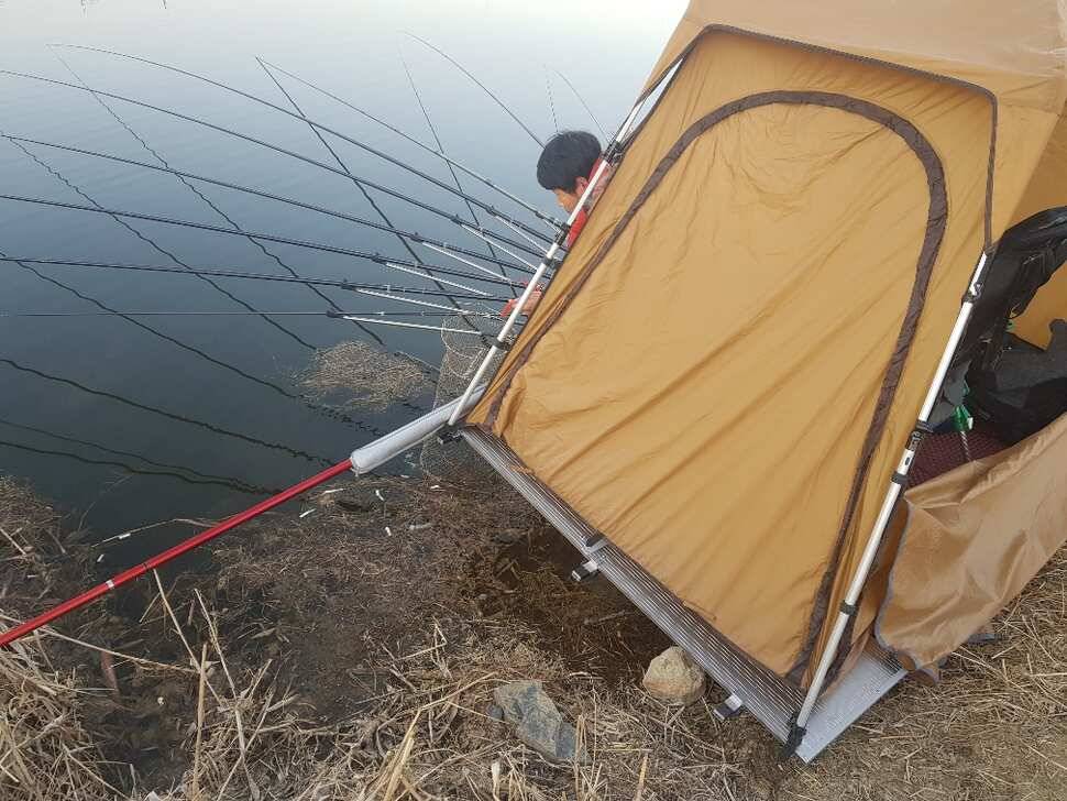 창녕권 조황 살아 나고 있습니다 (조황조행기 - 낚시점조황)