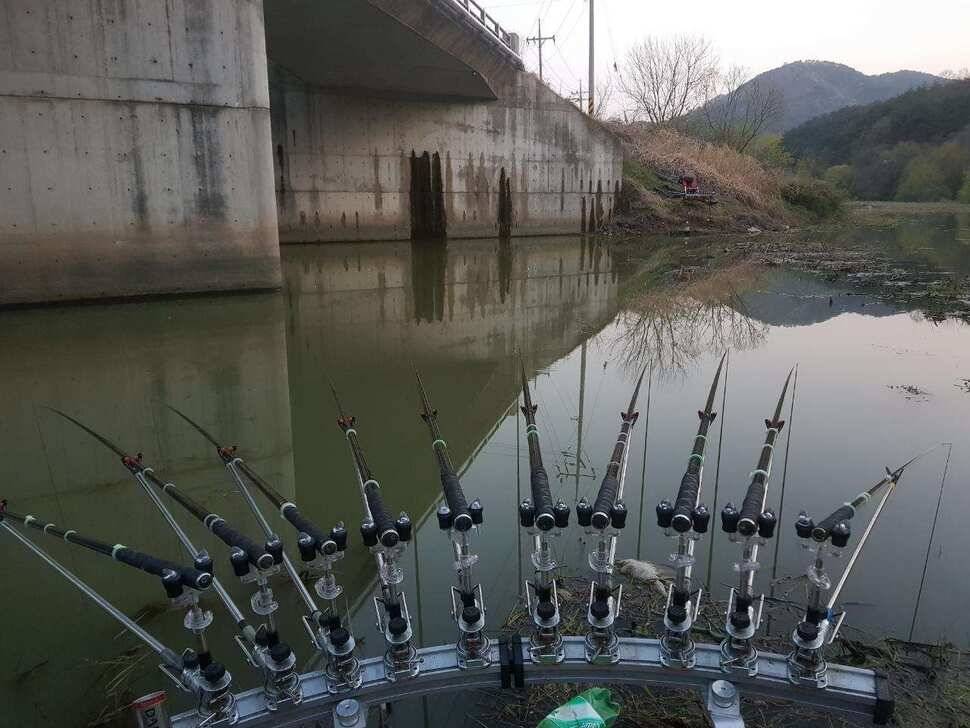 창녕권 붕어 (조황조행기 - 낚시점조황)