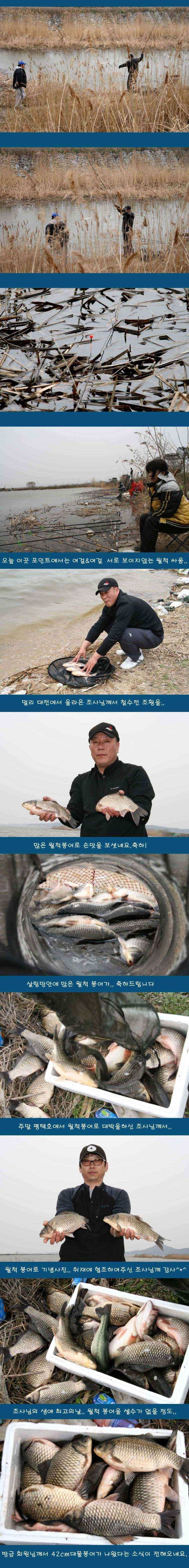 주말 대박과 꽝 (조황조행기 - 낚시점조황)