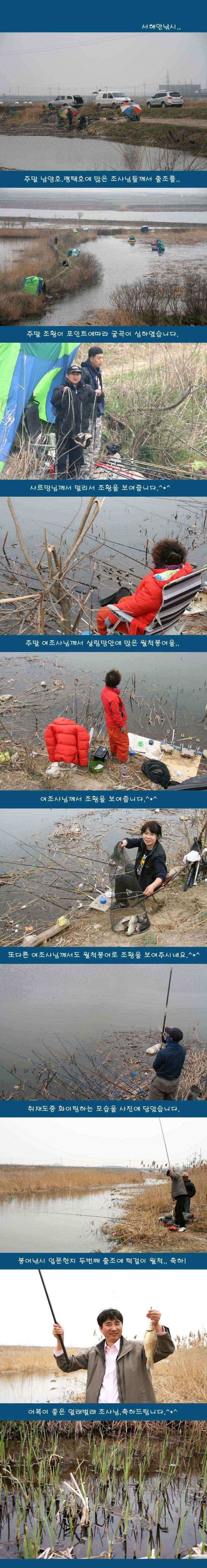 주말 대박과 꽝 (조황조행기 - 낚시점조황)