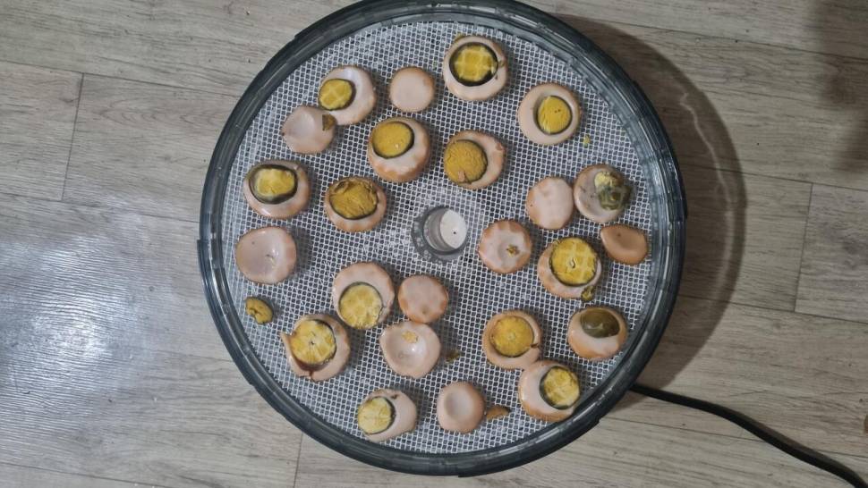 한번 속아 보실래요 (사용기강좌 - 강좌)