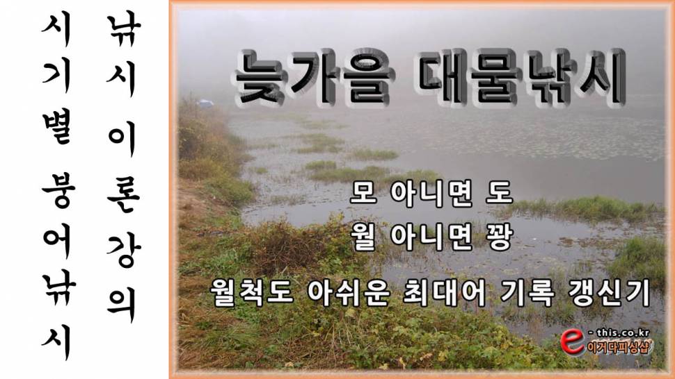 동영상늦가을 11월의 붕어대물낚시 월척도 아쉬운 최대어 갱신기 (사용기강좌 - 강좌)