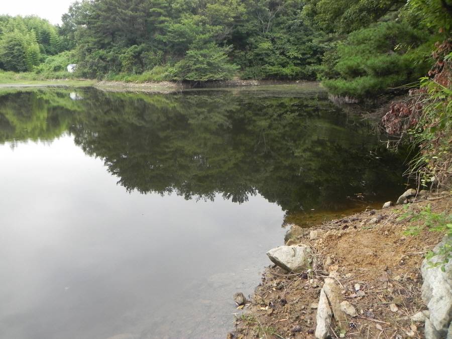 9월18일금요일 낚시갑시다울산소류지 (낚시터가는길 - 같이갈까요)