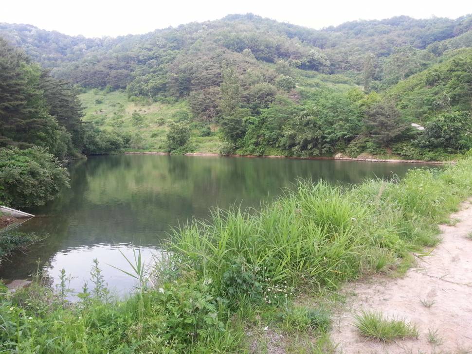 청도계곡지 한분만 (낚시터가는길 - 같이갈까요)