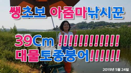 버들지 생초보 아줌마 낚시꾼 퀸비 39Cm 대물 토종붕어 (커뮤니티 - 낚시동영상)