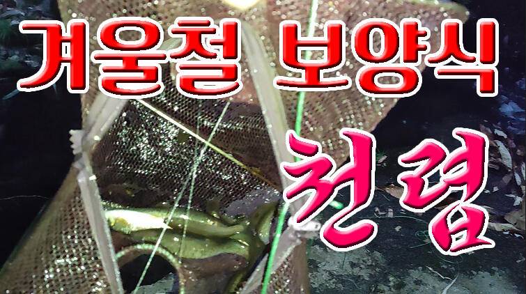 겨울철 보양식 천렵 이것을 잡아서 튀겨먹어보자 (커뮤니티 - 낚시동영상)