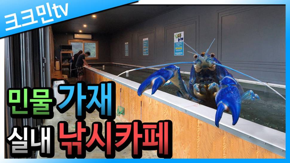 새우 가재 실내낚시터 낚시카페 (커뮤니티 - 낚시동영상)