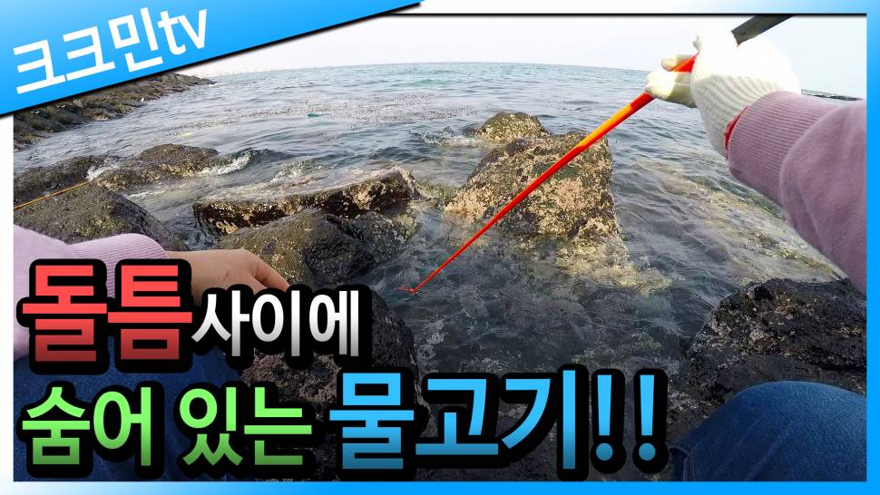 돌틈 낚시 제주도 가문동포구 (커뮤니티 - 낚시동영상)