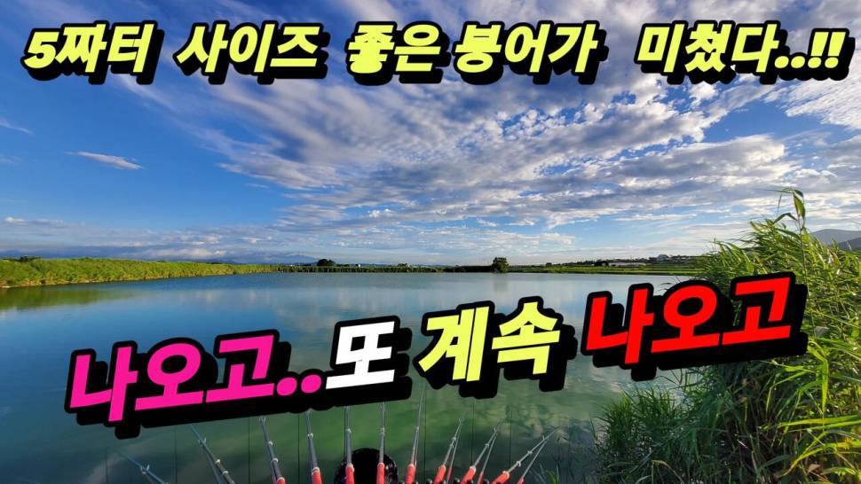 이런 5짜터 저수지 처음이야 (커뮤니티 - 낚시동영상)