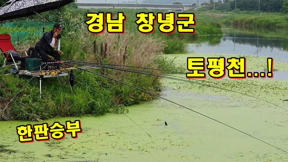 경남 창녕군 토평천 출조 영상 (커뮤니티 - 낚시동영상)