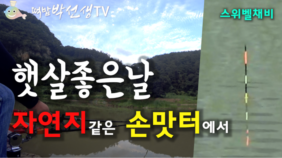공주 훼미리낚시터2호지 조행기ㅣ스위벨채비 (커뮤니티 - 낚시동영상)