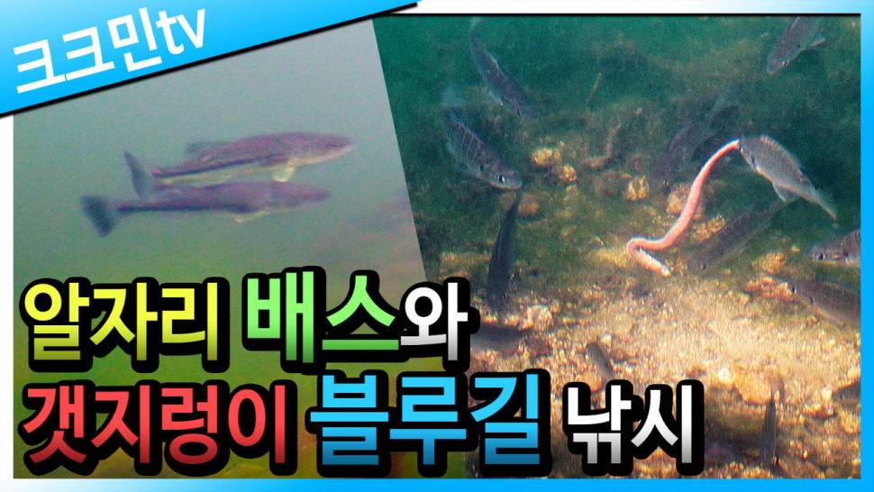 갯지렁이 블루길 낚시 노싱커 배스낚시 (커뮤니티 - 낚시동영상)