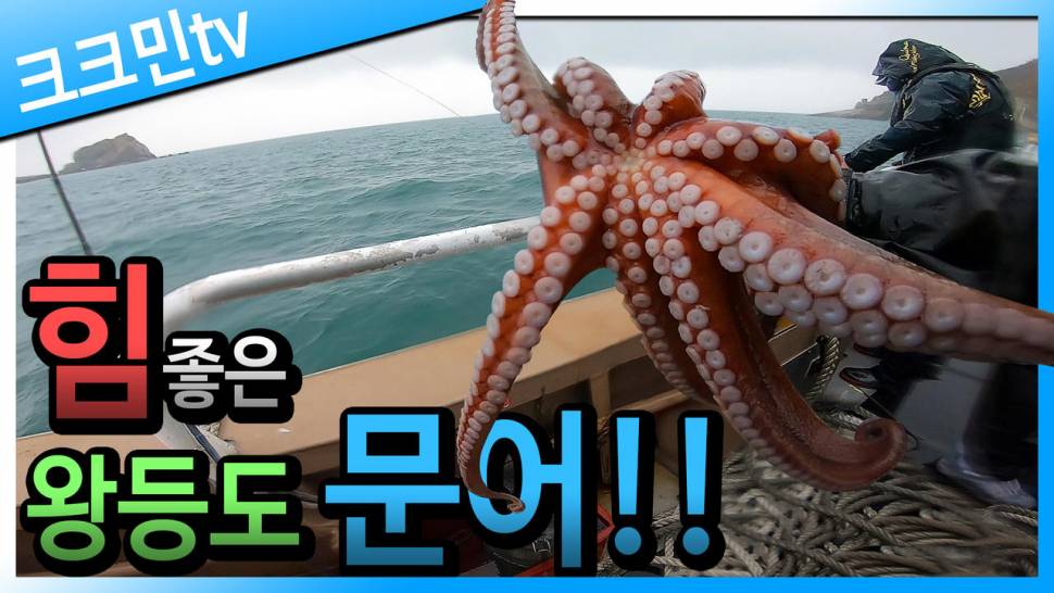 문어 낚시 2편 문어튀김 왕등도 선상낚시 (커뮤니티 - 낚시동영상)