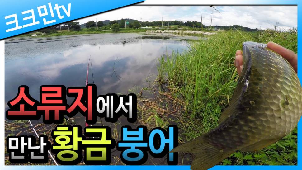 남원의 한 소류지로 붕어낚시 다녀왔습니다 (커뮤니티 - 낚시동영상)