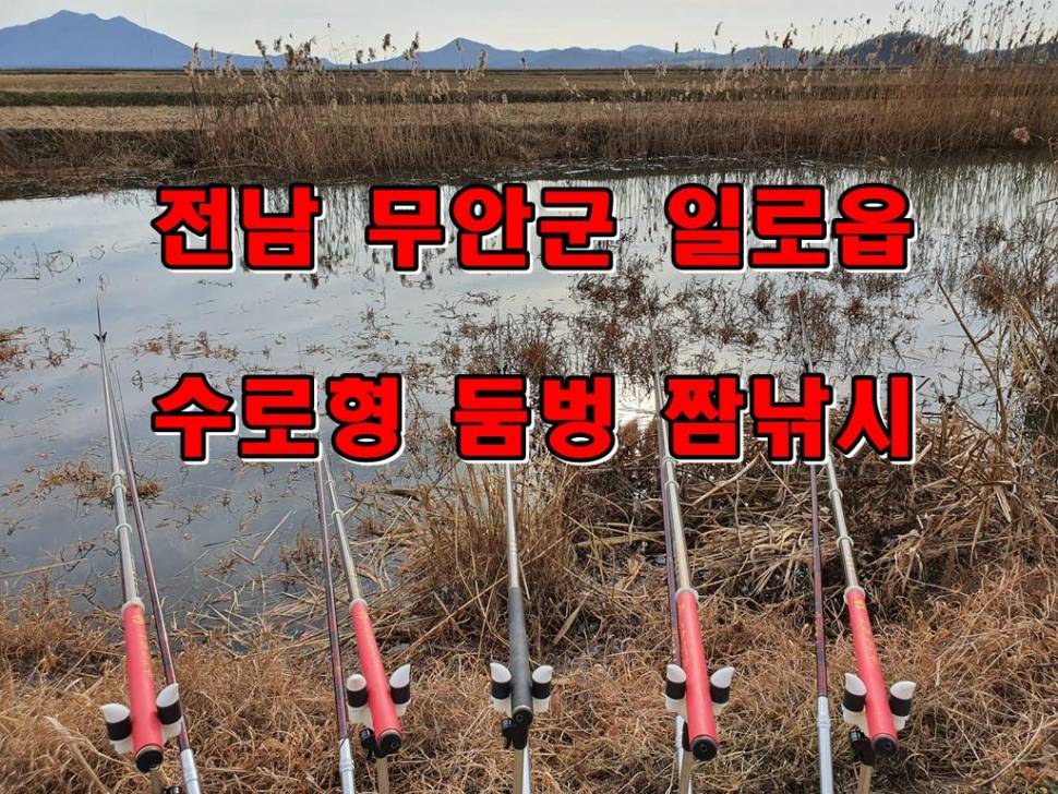 전남 무안군 일로읍 수로형 둠벙 짬낚시 (커뮤니티 - 낚시동영상)