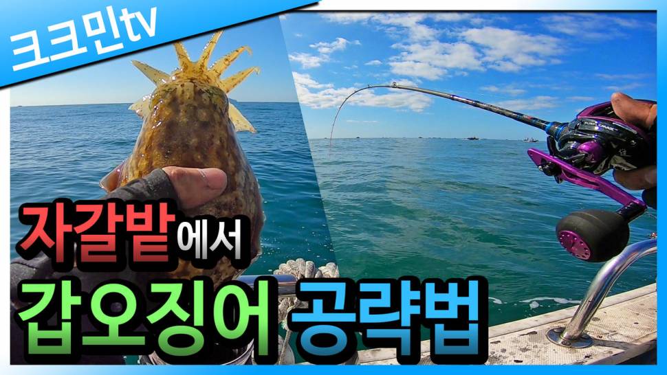직결채비로 갑오징어 낚시 오징어 튀김 (커뮤니티 - 낚시동영상)