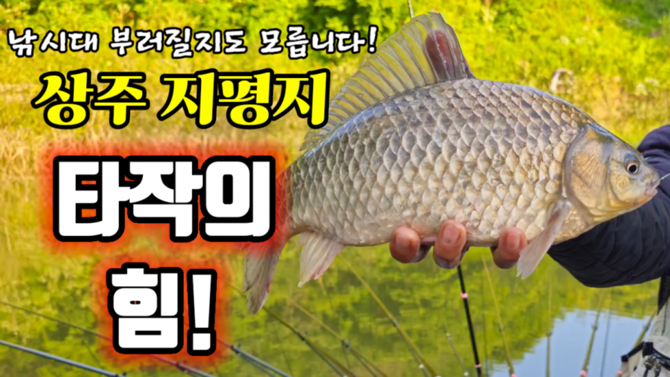 상주 지평지 타작의힘 (커뮤니티 - 낚시동영상)
