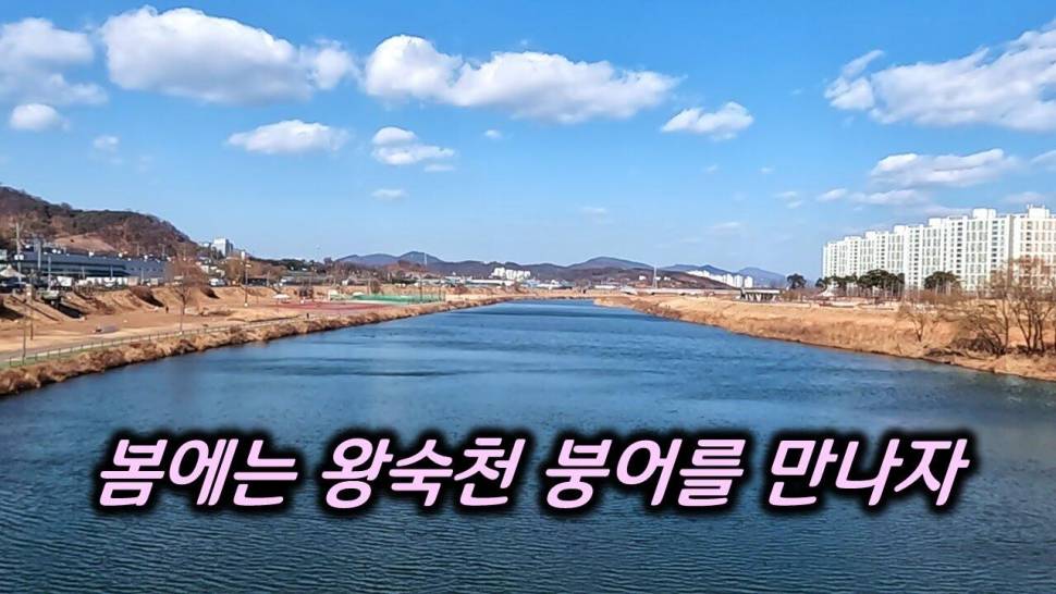 수도권 30분 왕숙천 탐방기 무료낚시포인트 (커뮤니티 - 낚시동영상)