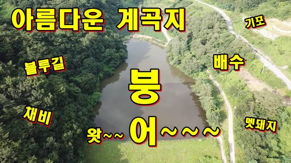 전북 정읍에 위치한 아름다운 계곡지 (커뮤니티 - 낚시동영상)