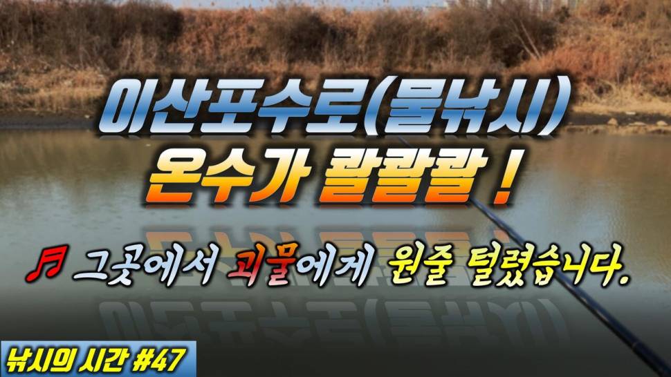 헐 이산포수로 포인트에서 원줄 털렸습니다 겨울 물낚시 가셔야죠 (커뮤니티 - 낚시동영상)