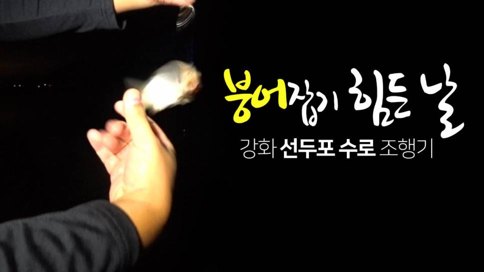 붕어잡기 힘든날 (커뮤니티 - 낚시동영상)