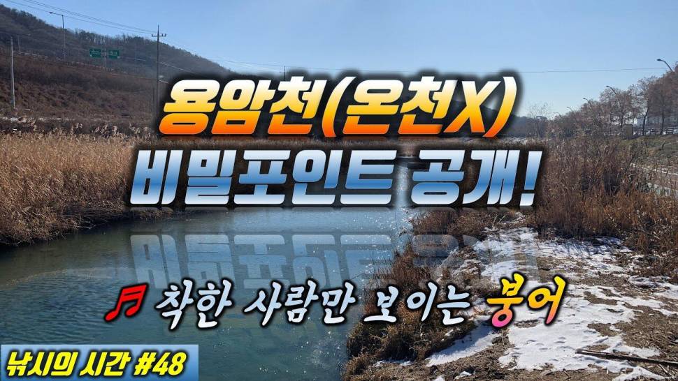 착한 낚시꾼만 보이는 붕어 용암천 포인트를 소개합니다 (커뮤니티 - 낚시동영상)