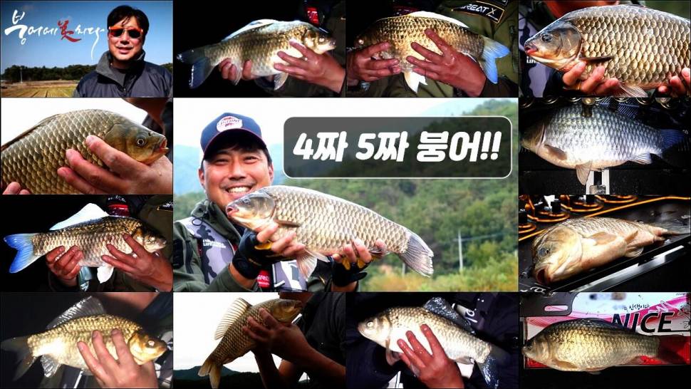 사짜 오짜 붕어 하이라이트 FTV 붕어에미치다 (커뮤니티 - 낚시동영상)
