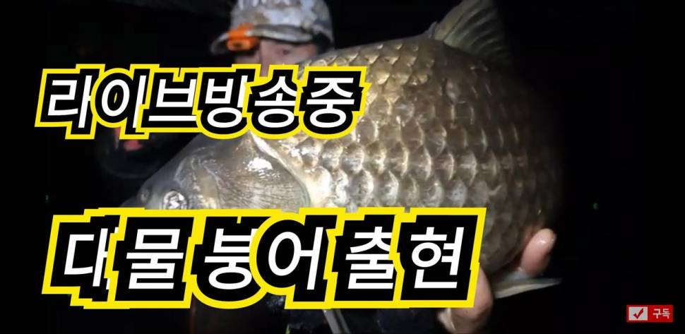 붕어타짜붕어낚시생방송중에나온대물붕어♡ (커뮤니티 - 낚시동영상)