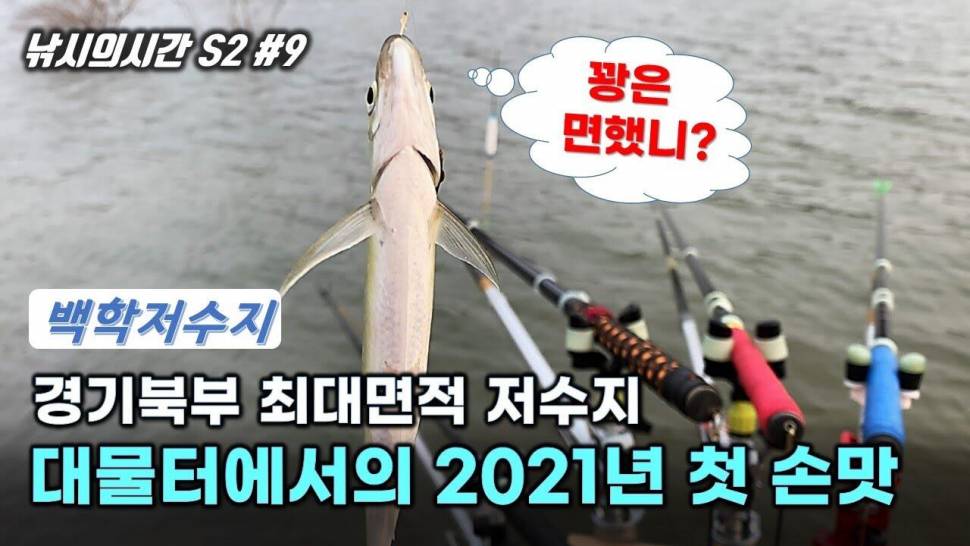 백학저수지 살치와 전쟁하고 2021년 첫 수 하고 돌아왔습니다 (커뮤니티 - 낚시동영상)