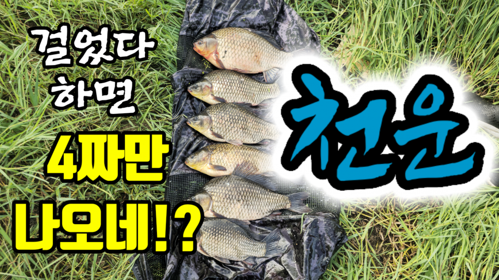 걸면 4짜 대물붕어천운이다 (커뮤니티 - 낚시동영상)